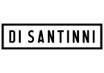 Logo Di Santinni