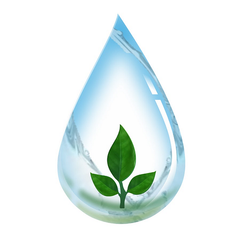 Logo Agroneri